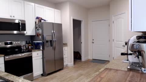 Holi Hurricane online show from 09.24.25