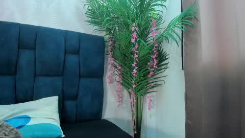 holly online show from 11.24.25