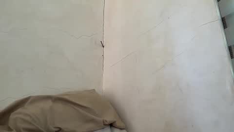 holly_wyn online show from 04.11.26