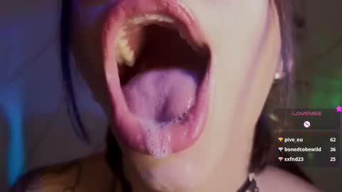 holly online show from 02.03.26