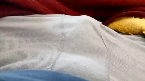 holycannoli123 online show from 02.05.26