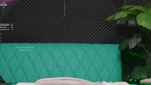 homehornyeva online show from 12.16.24