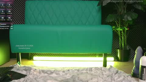 homehornyeva online show from 12.26.24