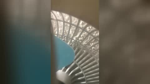 honesti_pretty online show from 02.21.26