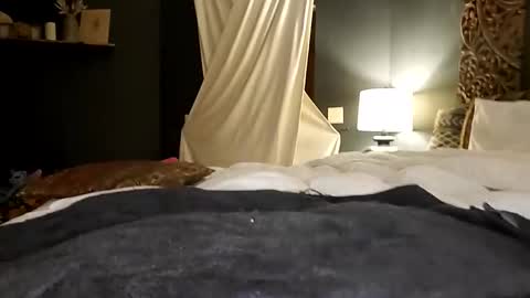 Snapshot of honeyhive_4u chatting on 10.17.25 Honey online show from 10.17.25