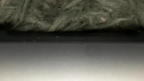 D online show from 02.23.26