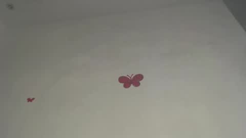 Iris online show from 03.09.26