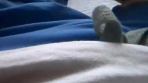 Tiny cock online show from 07.08.26
