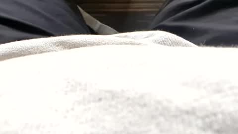Tiny cock online show from 07.15.26