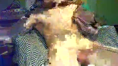 Snapshot of hornycocxxx chatting on 03.09.25 hornycocxxx online show from 03.09.25