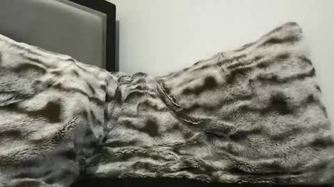 cumsh0tking online show from 11.03.25