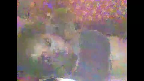 hornygal001 online show from 04.08.26