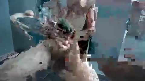 Hornyrippa online show from 12.22.24