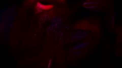 horse9ram5 online show from 12.16.24