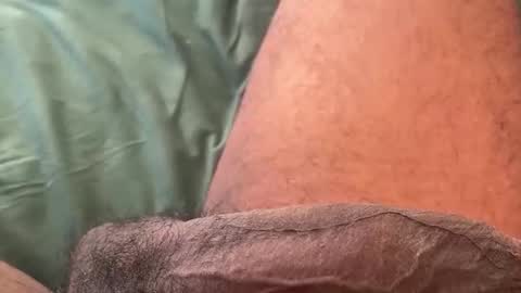 Bbc horsey online show from 02.11.26