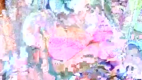 hot_baby_priya online show from 10.12.25