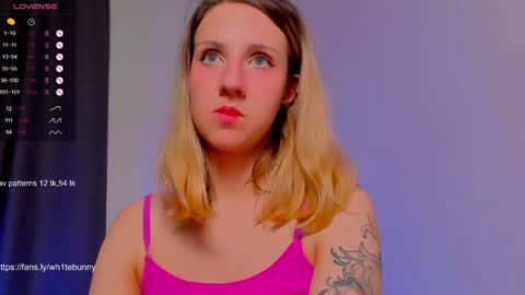  Next stream 28112024 8 GMT 3 online show from 12.08.24