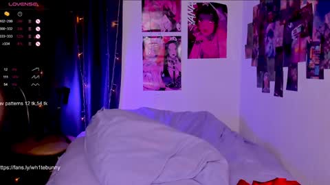  Next stream 28112024 8 GMT 3 online show from 02.08.25