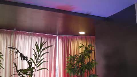 Anais online show from 02.15.26