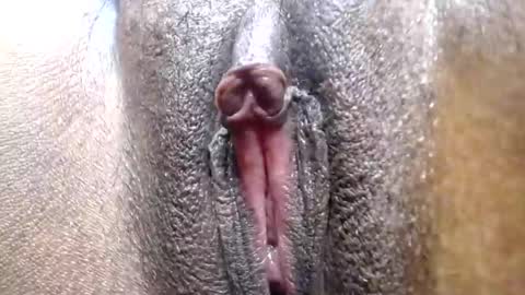 Snapshot of hotcake4567 chatting on 02.25.26 hotcake4567 online show from 02.25.26