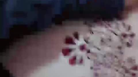 Hotcapolx online show from 11.23.25