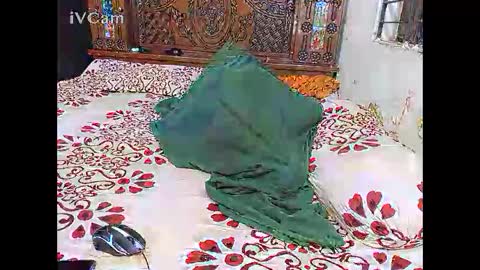 Hotcapolx online show from 11.24.25