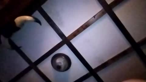 hotloads1992 online show from 01.10.26