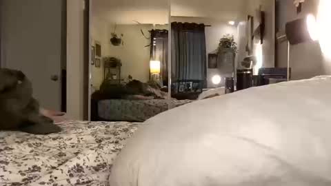 Annabelle online show from 10.14.25