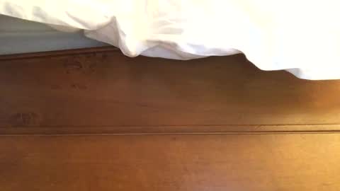 hotmuff99 online show from 02.11.25