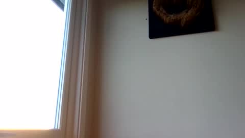 hototo2 online show from 11.25.25