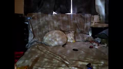 Snapshot of hotrox6942 chatting on 09.24.25 hotrox6942 online show from 09.24.25