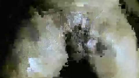 HotShavedCockSoCal online show from 05.29.26