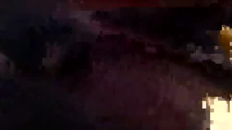 houndmefromhell online show from 12.25.24