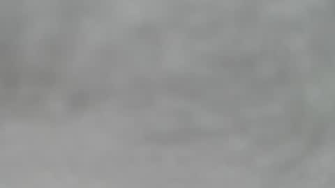 Slutty little female cat online show from 05.02.26