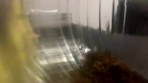 Snapshot of howarudoing chatting on 10.05.25 howarudoing online show from 10.05.25