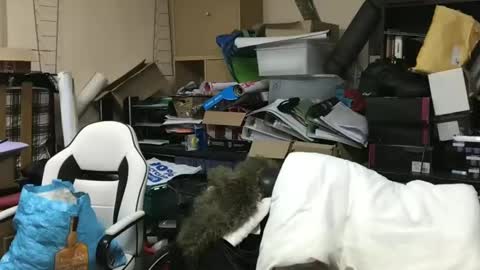 howsthat2024 online show from 01.18.25