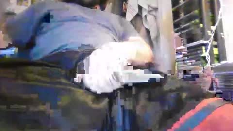 hrnyymff online show from 11.10.25