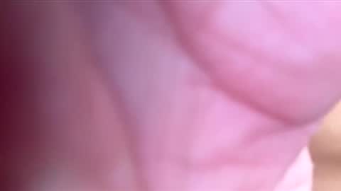 Snapshot of htwnswangn9 chatting on 03.03.26 htwnswangn9 online show from 03.03.26