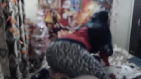 hugeassdevil online show from 01.23.25