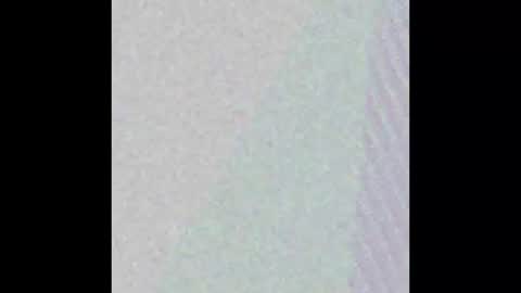 Dick Fitswell online show from 02.19.25