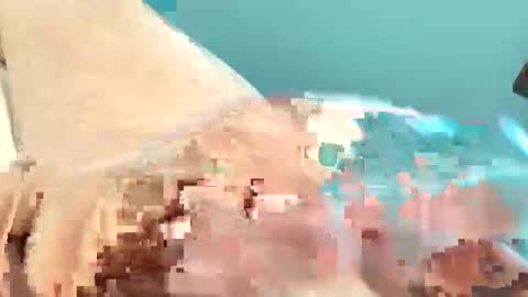 hughmann61 online show from 04.15.26