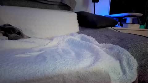 Hugo online show from 02.14.25