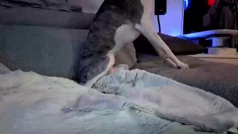 Hugo online show from 03.10.25