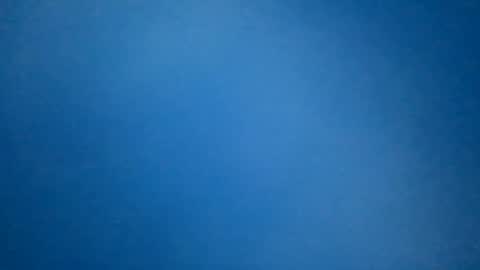 hummelbummel00 online show from 02.11.26