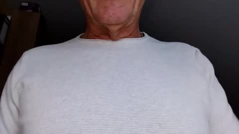 hundeleine online show from 10.06.25