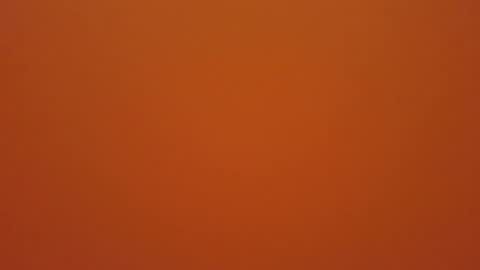 Snapshot of hundeleine chatting on 12.19.25 hundeleine online show from 12.19.25