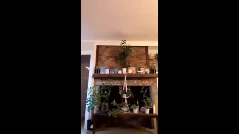 hungitalian40 online show from 01.15.26