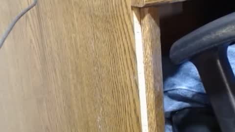 hungsofine online show from 12.23.24