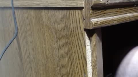 hungsofine online show from 12.26.24