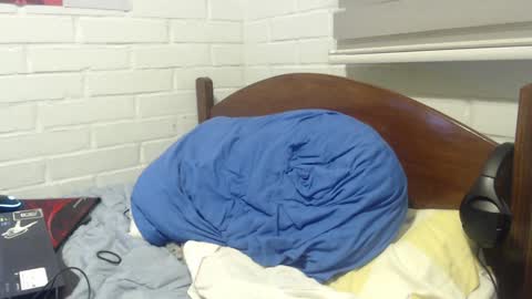 Rod online show from 12.02.24